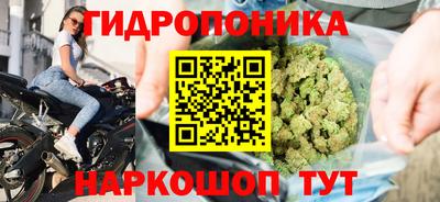 шишки Пугачёв